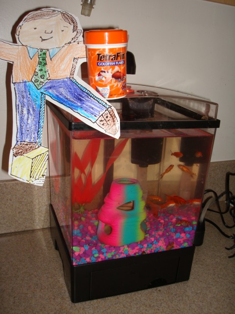 Elijah needed to take pictures of himself doing things with Flat Stanley for a school project.  Flat Stanley fed the fish!